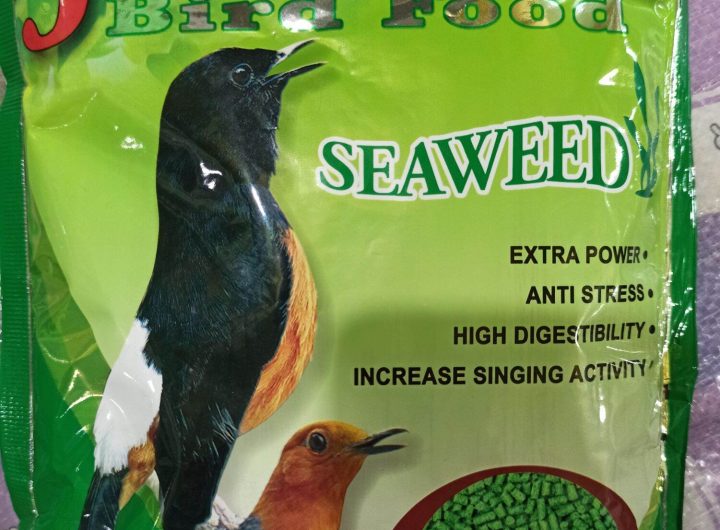 Juara Bird Food dengan Seaweed, Inovasi Pakan Burung Ramah Lingkungan