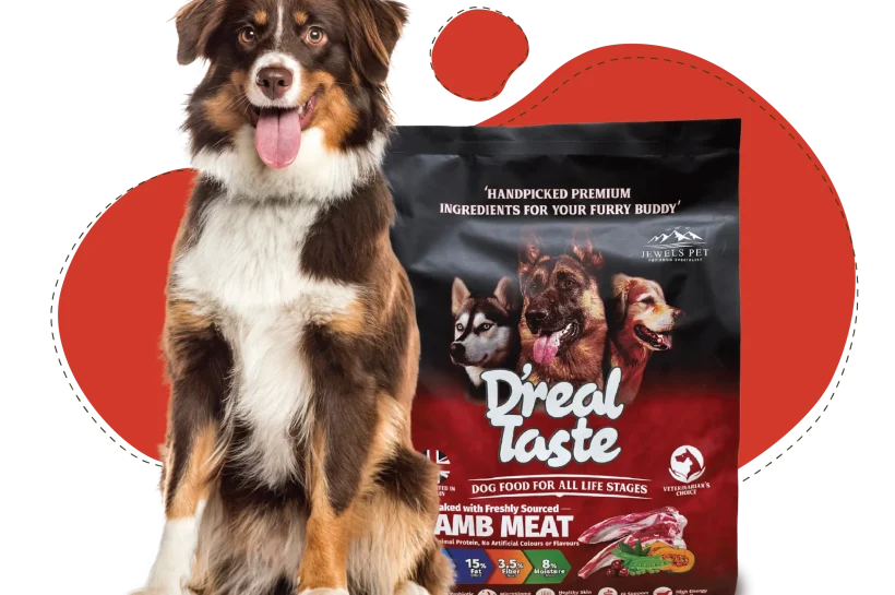 Manfaat Memberikan Probiotik Alami dalam Makanan Anjing